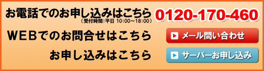 �T�[�o�[�\����